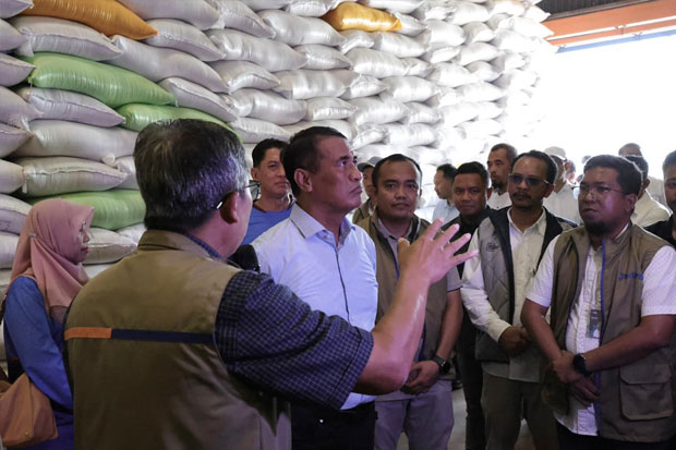 Stok Melimpah, Cadangan Beras Nasional Capai 4,5 Juta Ton