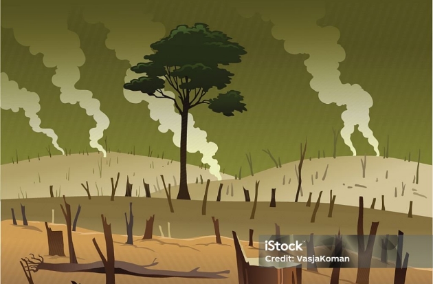 Perambahan Hutan di Lutim Berulang, Gakkum Imbau Laporkan untuk Diproses Hukum