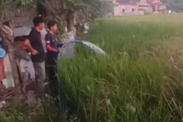 Kekeringan Ancam Sawah, Pemkab Jeneponto Lakukan Langkah Darurat