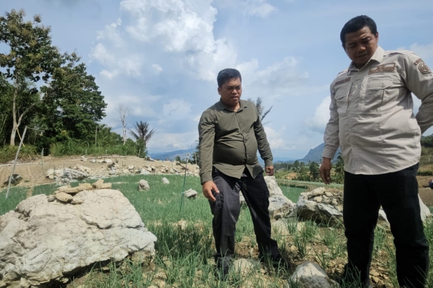 Hadapi El Nino, Kementan Percepat Transformasi Pertanian Lahan Kering di Enrekang