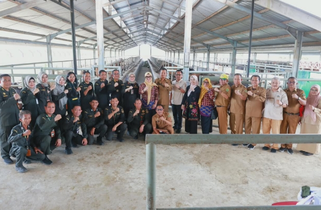 Karantina Sulsel & Pemkab Barru Awasi Distribusi Sapi Kurban dari Pelabuhan Garongkong