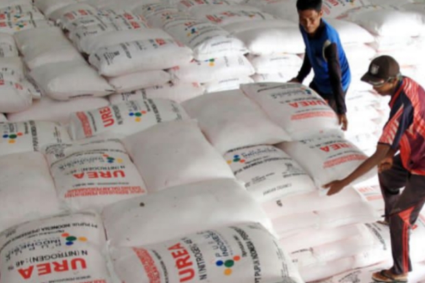 Pupuk Indonesia Tindak PPTS di Bone Usai Diduga Gunakan Uang Petani