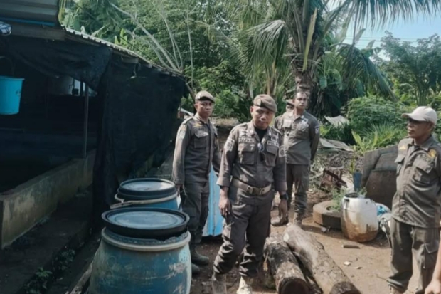 Viral di Media Sosial, Kandang Babi di Jalan Daeng Tata Makassar Langsung Ditertibkan