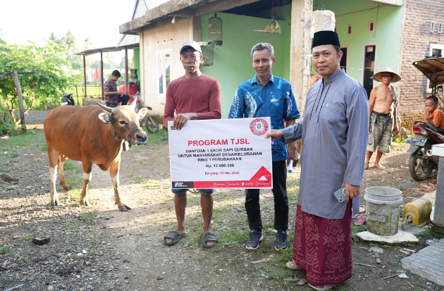 Momen Idul Adha, PT Semen Tonasa Salurkan 20 Sapi Kurban