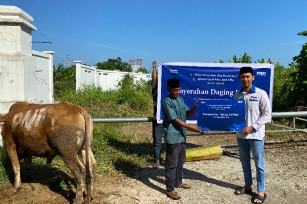 PNM Serentak Potong Sapi Kurban di 18 Cabang, Warga Makassar Ikut Rasakan Manfaatnya