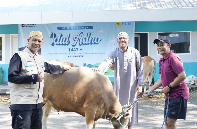 Momen Idul Adha, PLN UIP Sulawesi Salurkan 13 Hewan Kurban