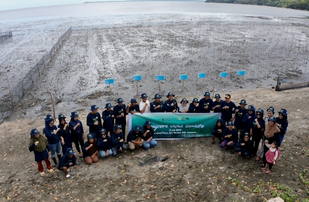 PLN UIP Sulawesi Pulihkan Pesisir Jeneponto Lewat Rehabilitasi Mangrove