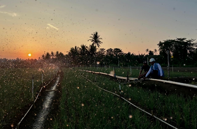 Tarif Listrik Tetap, PLN Siap Jaga Keandalan Layanan
