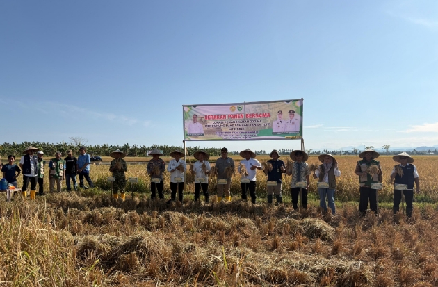 Panen Raya di Barru, Pupuk Indonesia Pastikan Stok Aman Dukung Swasembada Pangan