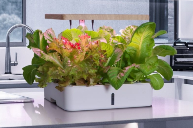 Berkebun dari Rumah, Cara Sederhana Wujudkan Hidup Berkelanjutan Bersama AZKO