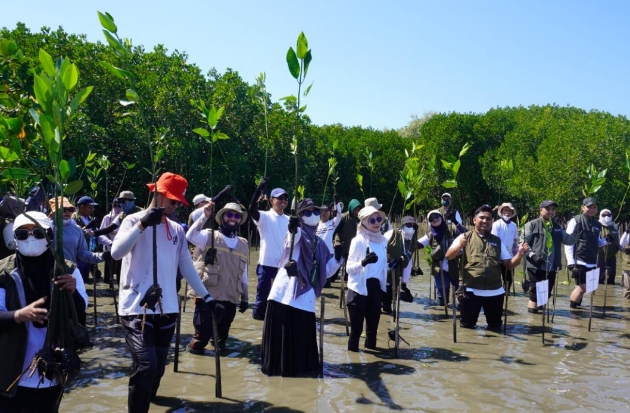 Kalla Translog Komitmen Dukung Keberlanjutan Lingkungan Lewat Aksi Mangrove Lestari