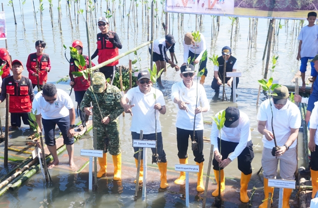 PT Semen Tonasa Dukung Hari Mangrove Sedunia 2026, Tanam 7.000 Bibit di Pangkep
