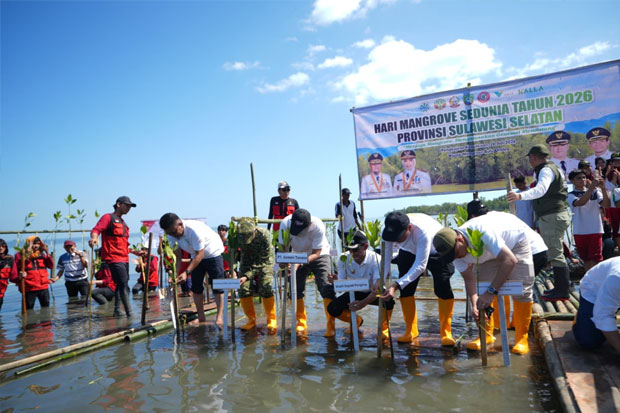 Pelestarian Mangrove di Sulsel Butuh Kolaborasi Semua Pihak