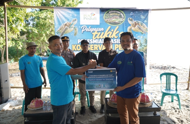 Jaga Habitat Penyu, PLN Salurkan Bantuan Konservasi di Pantai Lentora