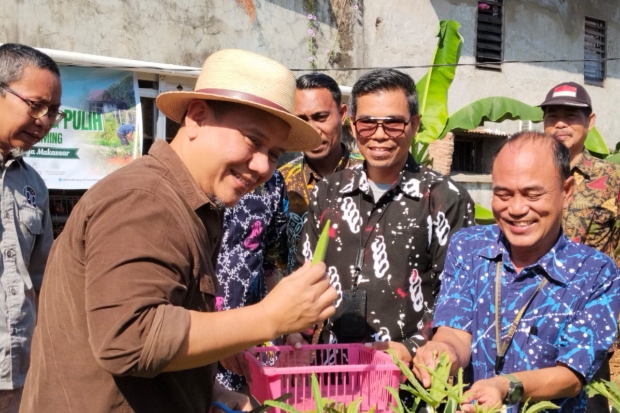 Fadli Padi Kunjungi Urban Farming yang Dikelola Disabilitas