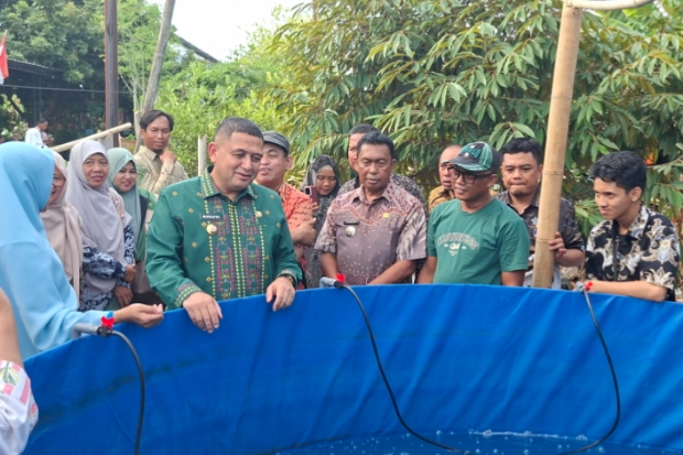 Tinjau Urban Farming di Manggala, Munafri Puji Ketelatenan Warga KWT Cinta
