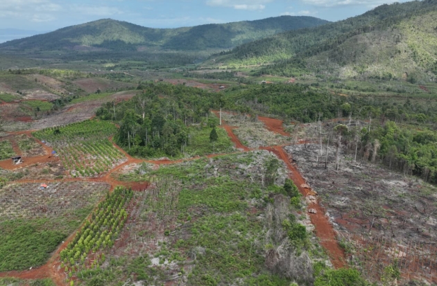 Perambahan Hutan Tanamalia Makin Menggila, Gakkum: Sudah Mendekati 5.000 Hektare