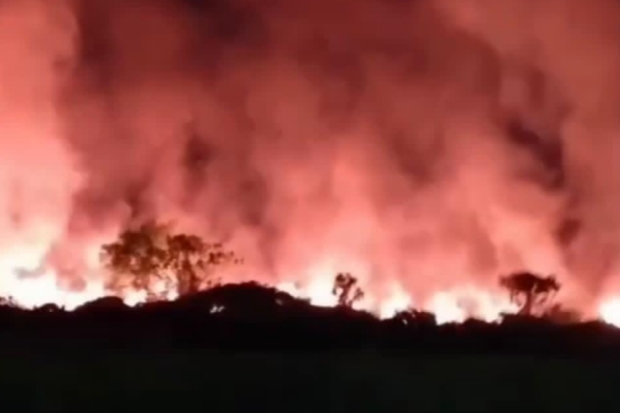 Kebakaran Lahan Kosong 5.000 Meter Persegi di Tallasa City Berhasil Dipadamkan