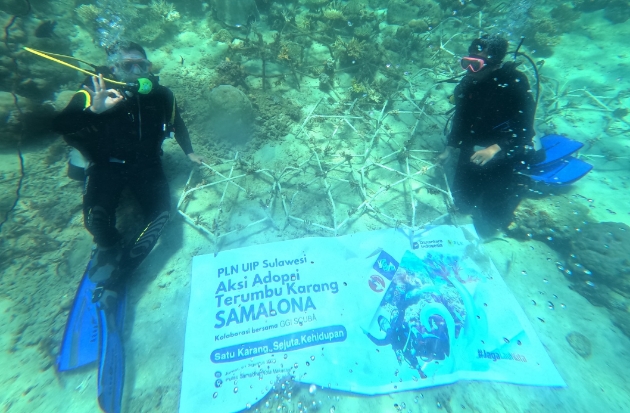 PLN UIP Sulawesi Tanam 81 Fragmen Karang untuk Pulihkan Ekosistem Samalona
