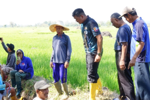 Hadapi El Nino, Bupati Bantaeng Bersihkan Irigasi Bersama Petani