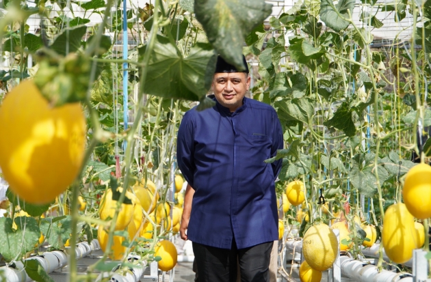 Bukit Baruga Kembangkan Urban Farming Terintegrasi, Berpotensi Jadi Percontohan di Makassar