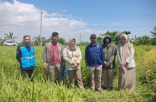 KKPR Tiga Proyek Terbit, PLN UIP Sulawesi Segera Lanjutkan Pembebasan Lahan