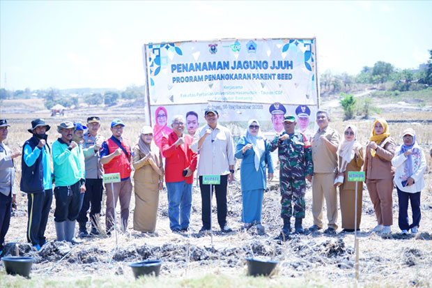 Bupati Bantaeng Tanam Jagung Program Penangkaran Kolaborasi Unhas