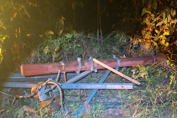 Pohon Tumbang, Enam Desa di Wasuponda Luwu Timur Alami Pemadaman Listrik