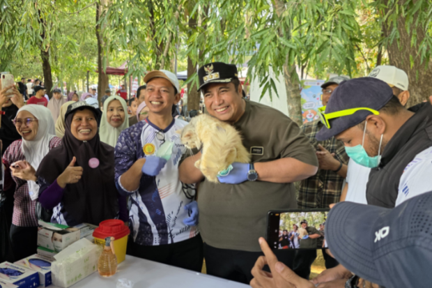 Cegah Rabies, Ratusan Kucing dan Anjing di Maros Dapat Vaksin Gratis
