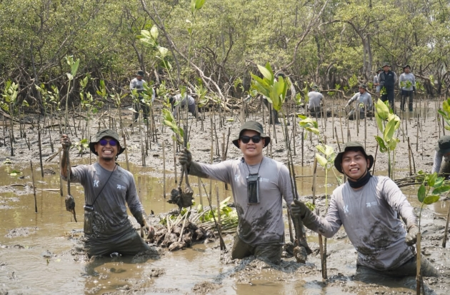 Kalla Toyota Tanam 43.000 Mangrove, Perkuat Ekosistem Pesisir Pangkep
