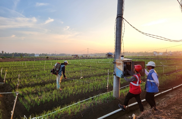 Sambut HLN ke-81, PLN Perluas Pemanfaatan Listrik untuk Pertanian