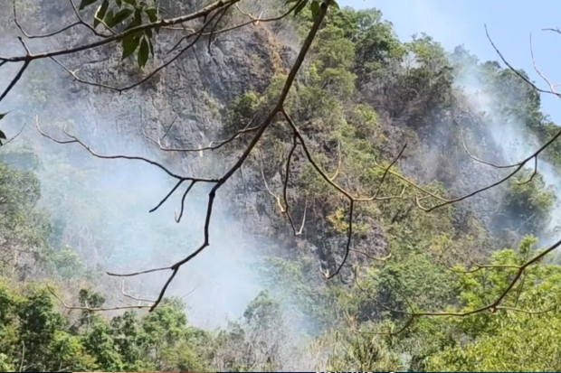 Karhutla Ancam Lukisan Hewan Cadas Tertua di Dunia