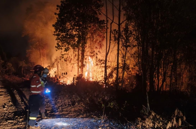Gakkum Kehutanan Ingatkan Petani Patuhi Aturan Penggunaan Kawasan Hutan