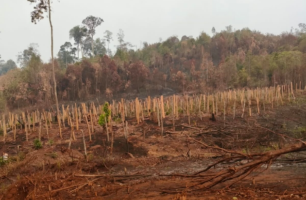 Warga Loeha Raya Desak Gakkum Usut Tuntas Dugaan Pembakaran Hutan