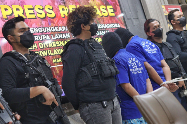 Polda Sulsel merilis barang bukti ganja dan pelaku otak penanaman ganja di Lobbi Mapolda Sulsel, Makassar.