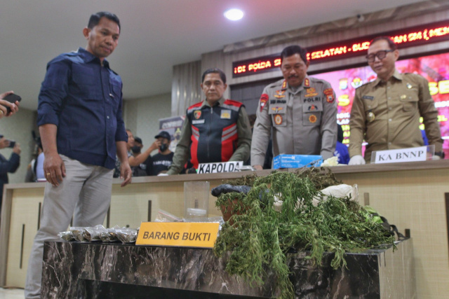 Polda Sulsel merilis barang bukti ganja dan pelaku otak penanaman ganja di Lobbi Mapolda Sulsel, Makassar.