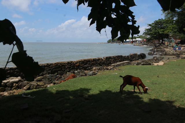 Abrasi yang terjadi di daerah tersebut tidak hanya mengancam area pemakaman tetapi juga mengancam rumah-rumah masyarakat yang bermukim di pesisir pantai.