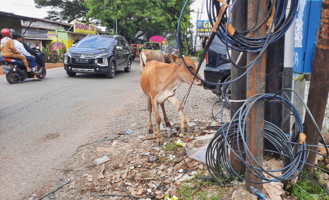 Kondisi kabel fiber optik yang semrawut tersebut selain membahayakan keselamatan pejalan kaki juga mengganggu keindahan kota.