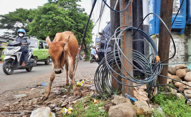 Kondisi kabel fiber optik yang semrawut tersebut selain membahayakan keselamatan pejalan kaki juga mengganggu keindahan kota.