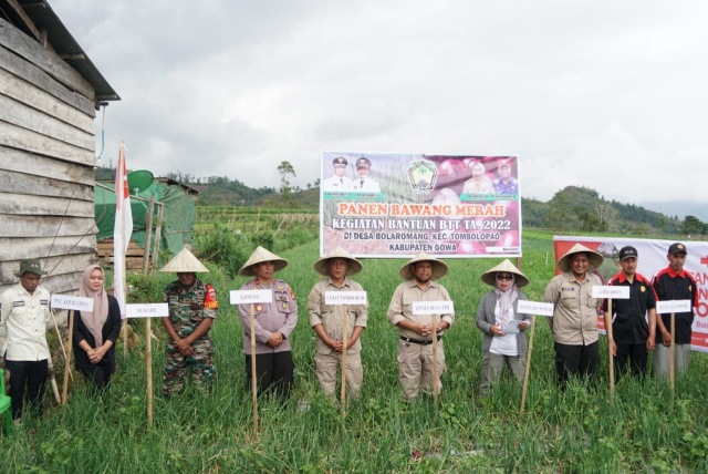 Gowa Kembangkan Bawang Merah Varietas Lokananta