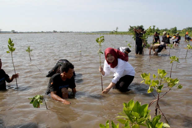 Magrove Camp kolaborasi Sahabat Gunung dan Komunitas Pendaki Gunung Indonesia Raya (KPGIR) Makassar, yang didukungn oleh PT Pelindo Jasa Maritim (SPJM) melaksanakan penanaman mangrove. Foto: Istimewa