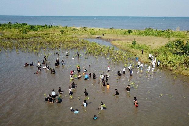 Magrove Camp kolaborasi Sahabat Gunung dan Komunitas Pendaki Gunung Indonesia Raya (KPGIR) Makassar, yang didukungn oleh PT Pelindo Jasa Maritim (SPJM) melaksanakan penanaman mangrove. Foto: Istimewa