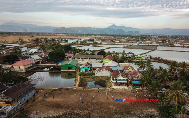 Musim kemarau tiba, area persawahan mengalami kekeringan di Desa Pajukukang, Kecamatan Bontoa, Maros, Sulawesi Selatan, Sabtu (9/9/2023).