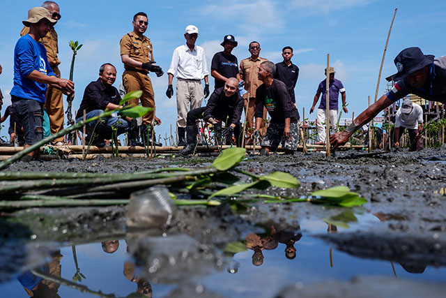 Indosat memberi bantuan penanaman mangrove berbasis teknologi Internet of Things (IoT) yang melibatkan keikutsertaan masyarakat desa di Desa Bulu Cindea Kecamatan Bungoro, Kabupaten Pangkep, Sulawesi Selatan, Senin (4/12/2023).