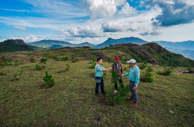 PT Vale Indonesia melakukan peninjauan sekaligus penanaman bibit pohon di kawasan Lappa Laona, Kabupaten Barru. (17/11/2023). Foto-foto: Muchtamir Zaide