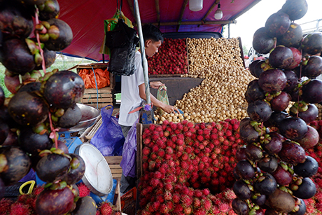 Pedagang buah menjajakkan jualannya di Jalan Perintis Kemerdekaan, Makassar, Jumat (23/2/2024).