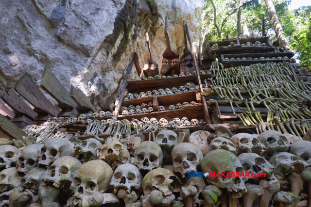 Ribuan tengkorak yang berusia ratusan tahun di area Makam Tua Manduk Patinna yang terletak di Desa Kadingeh, Kecamatan Baraka, Kabupaten Enrekang