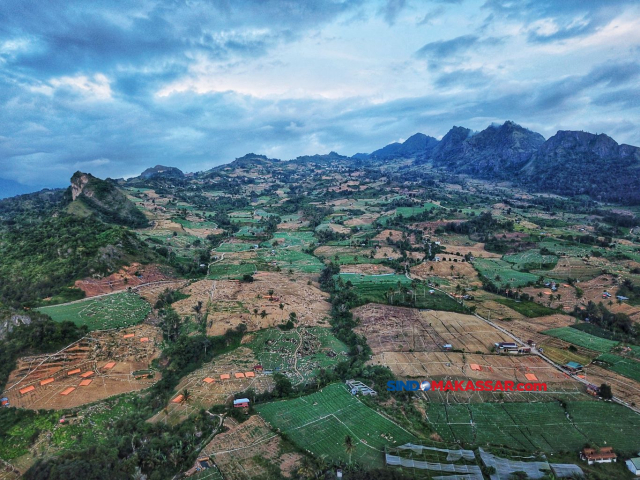 Kawasan lahan pertanian bawang merah di Kabupaten Enrekang, Sulawesi Selatan, Minggu (16/6/2024).