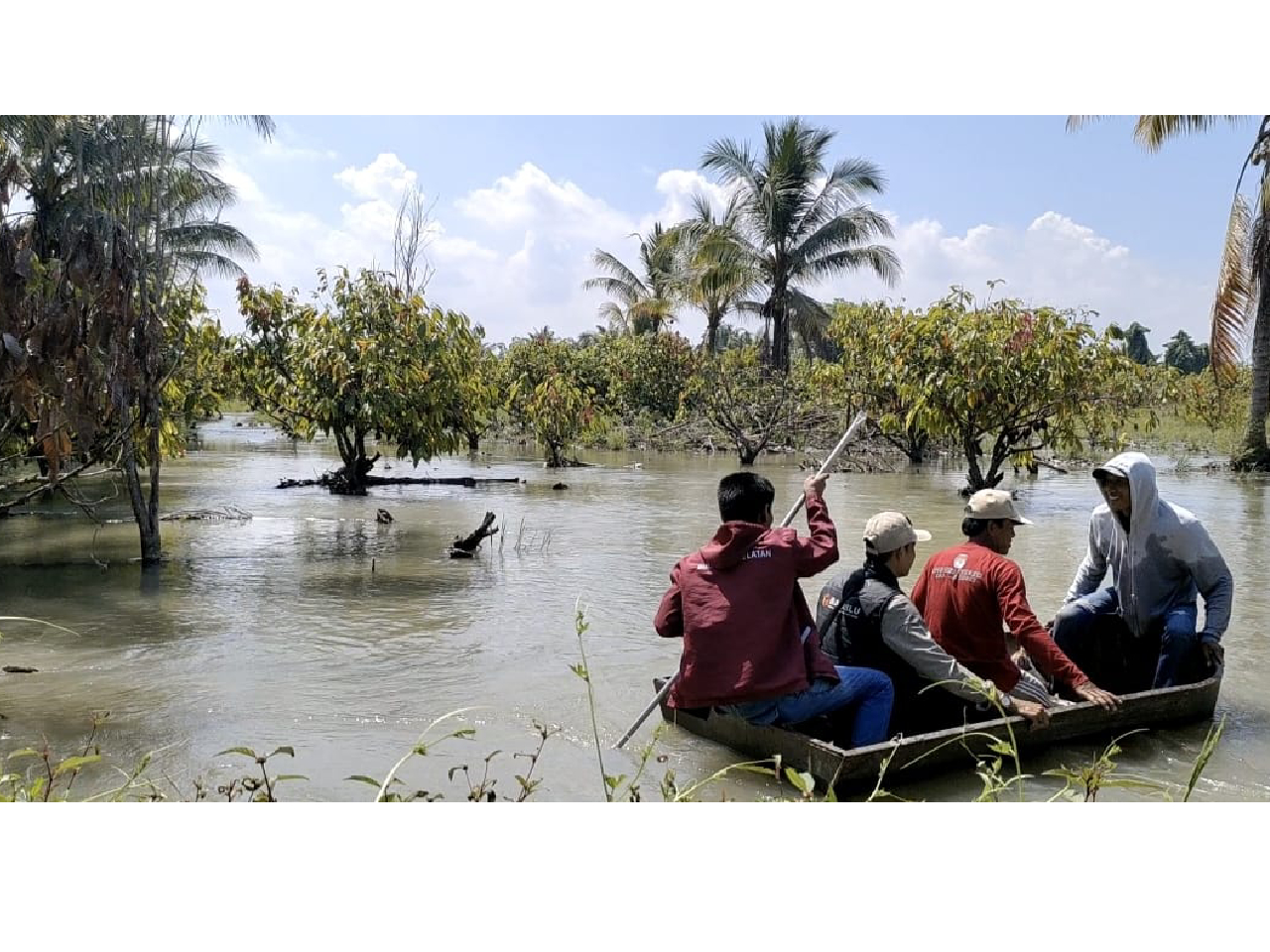 Petugas Pantarlih, I Ketut Rastajaya naik perahu saat melakukan coklit di TPS 003 Dusun Pawellae, Desa Pute Mata, Kecamatan Malangke, Kabupaten Luwu Utara. Foto: Dok KPU Lutra