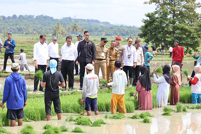 Presiden Jokowi tinjau pelaksanaan bantuan pompa irigasi di Sulawesi Selatan.